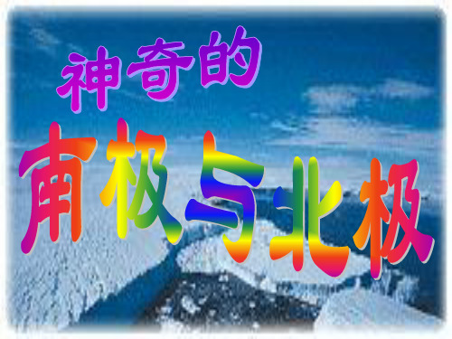 幼儿园课件 地球的南极与北极