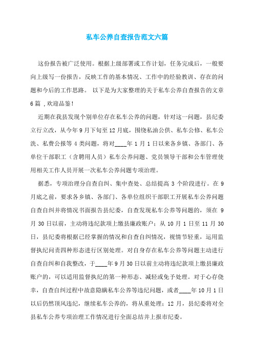 私车公养自查报告范文六篇