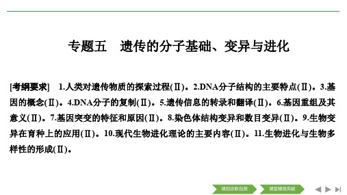 2020高考生物突破大二轮全国(非课改)通用版 课件讲义：专题五 遗传的分子基础、变异与进化