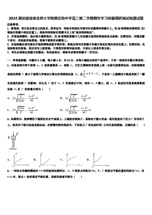 2024届安徽省淮北师大学附属实验中学高三第二学期期终学习质量调研测试物理试题