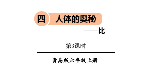 青岛版六年级数学上册 (人体的奥秘)教学课件(第3课时)