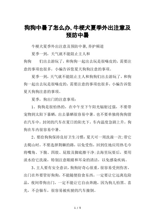 狗狗中暑了怎么办-牛梗犬夏季外出注意及预防中暑