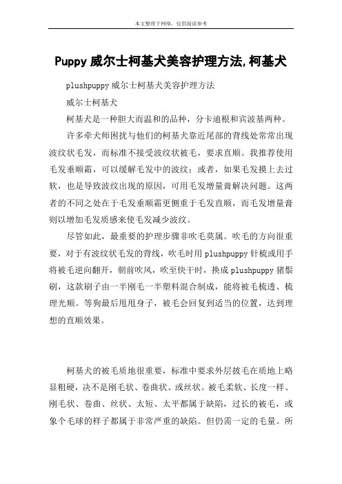 Puppy威尔士柯基犬美容护理方法,柯基犬