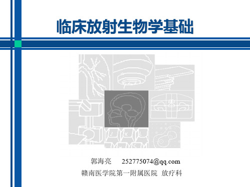 临床放射生物学基础分解