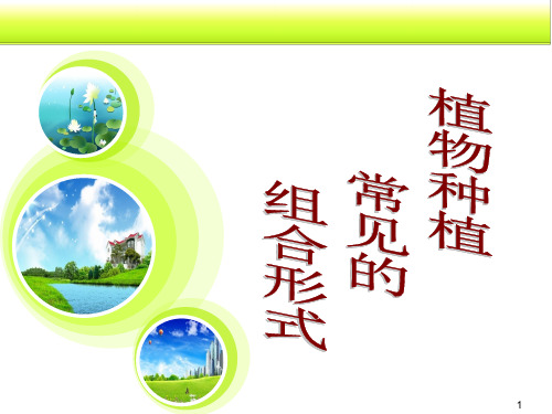 植物种植形式PPT演示课件