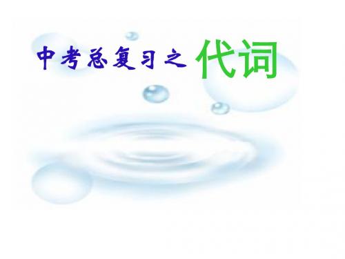 代词复习