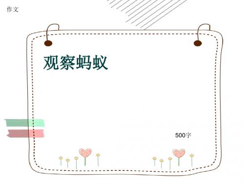 小学四年级作文《观察蚂蚁》500字(共8页PPT)