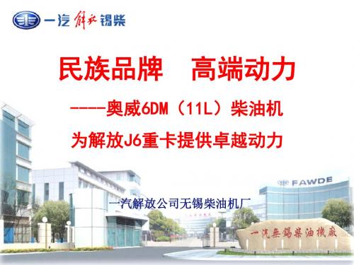 柴油机产品知识培训DM
