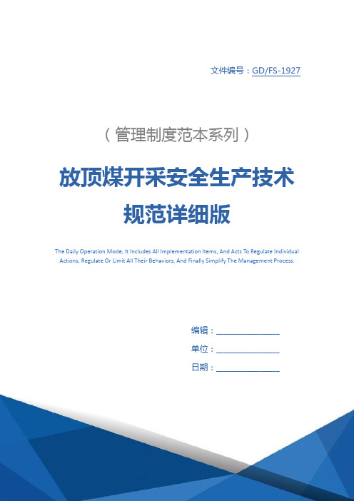 放顶煤开采安全生产技术规范详细版