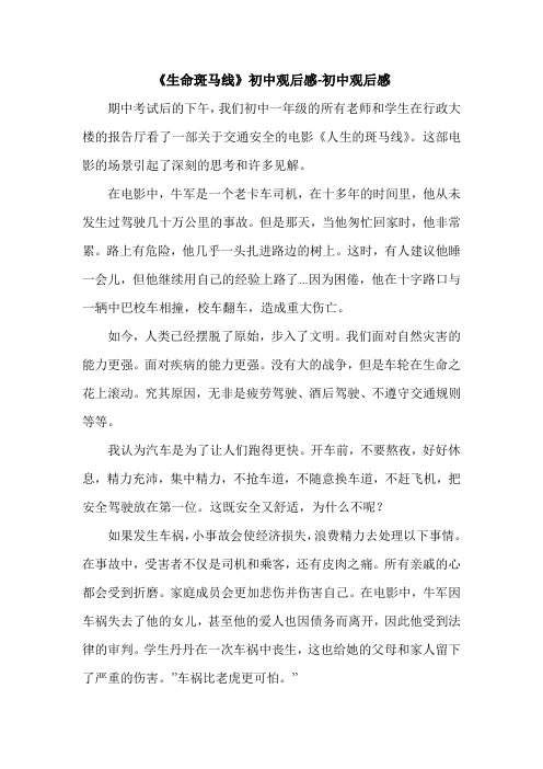 《生命斑马线》初中观后感-初中观后感.doc