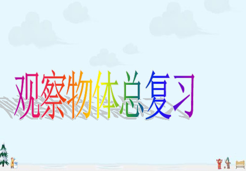 中小学优质课件三年级数学观察物体总复习课件.ppt