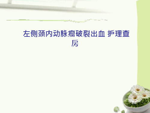 左侧颈内动脉瘤破裂出血 护理查房.ppt