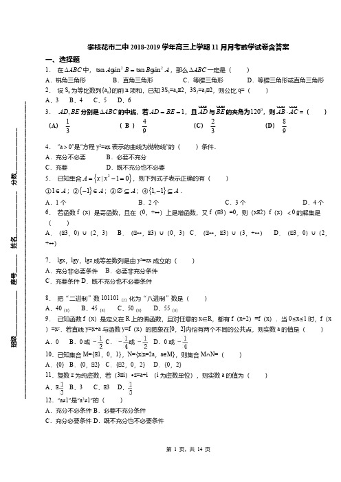 攀枝花市二中2018-2019学年高三上学期11月月考数学试卷含答案