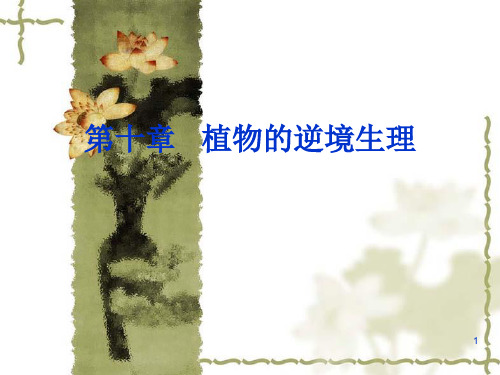植物的逆境生理概述PPT演示文稿