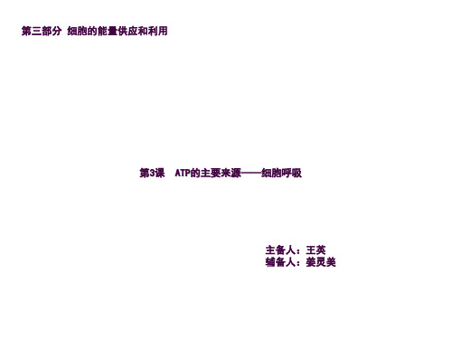 一轮复习细胞呼吸ppt课件
