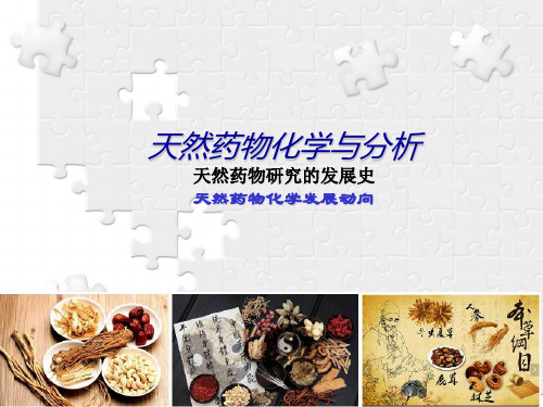 天然药物化学与分析学科导论.