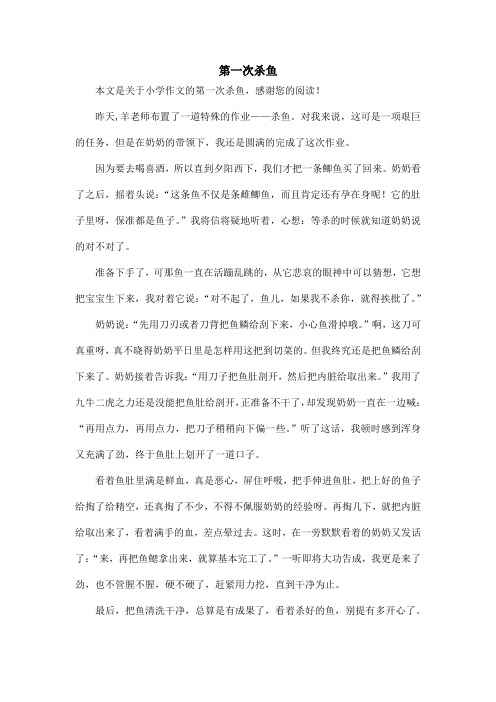 第一次杀鱼_小学作文_4