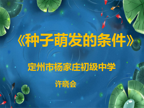 冀少儿版八年级上册生物：第二节 种子萌发的条件