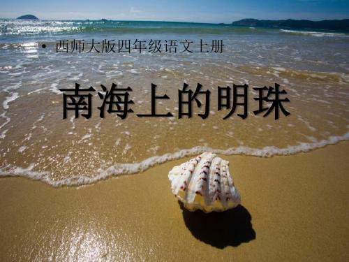 南海上的明珠 PPT优秀课件3