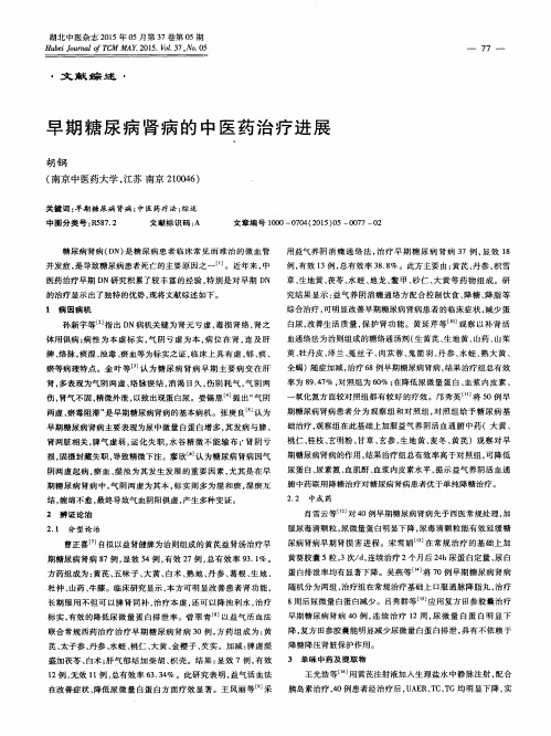 早期糖尿病肾病的中医药治疗进展
