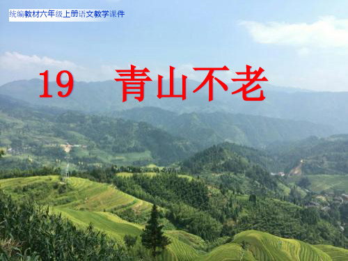 19青山不老