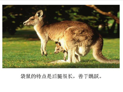 人教版二年级上册第二十一课《从现在开始》精品PPT课件