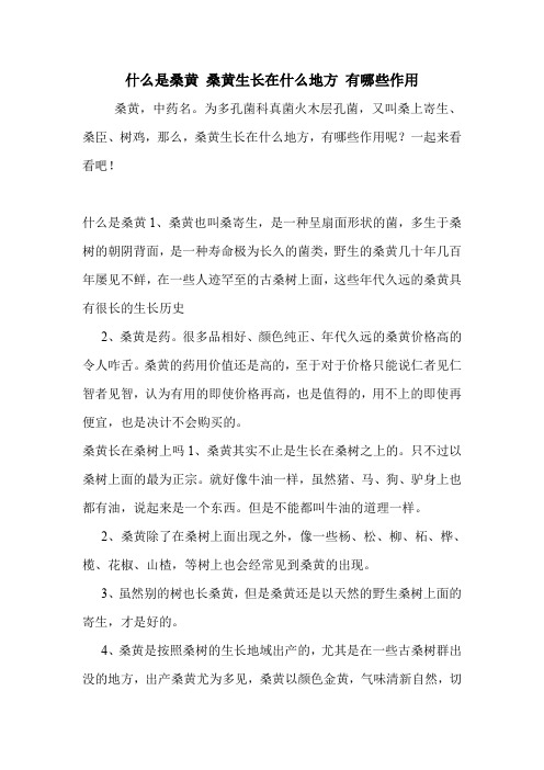 什么是桑黄 桑黄生长在什么地方 有哪些作用.doc
