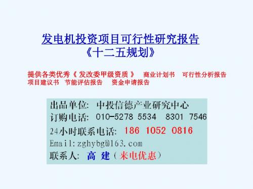 发电机投资项目可行性研究报告