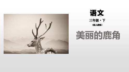 美丽的鹿角- ppt完整版