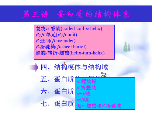 第3讲 蛋白质的结构体系
