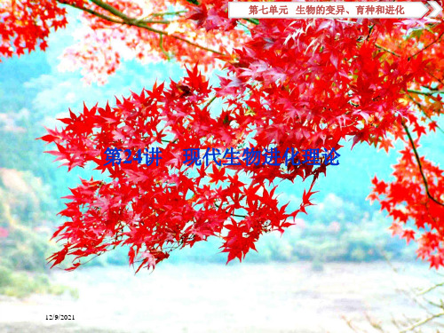 高考生物一轮复习 第七单元 生物的变异、育种和进化 第24讲 现代生物进化理论课件