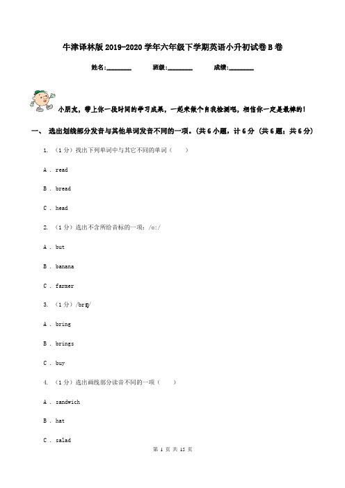 牛津译林版2019-2020学年六年级下学期英语小升初试卷B卷