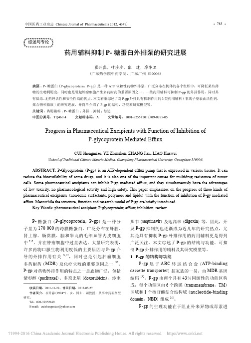 药用辅料抑制P_糖蛋白外排泵的研究进展_崔升淼