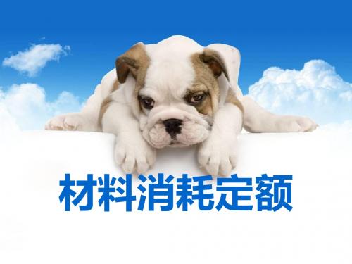 材料定额