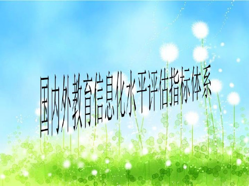 国内外教育信息化水平评估指标体系