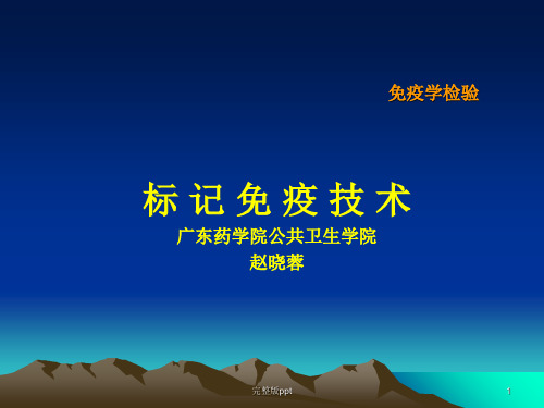 《酶免疫检验》PPT课件