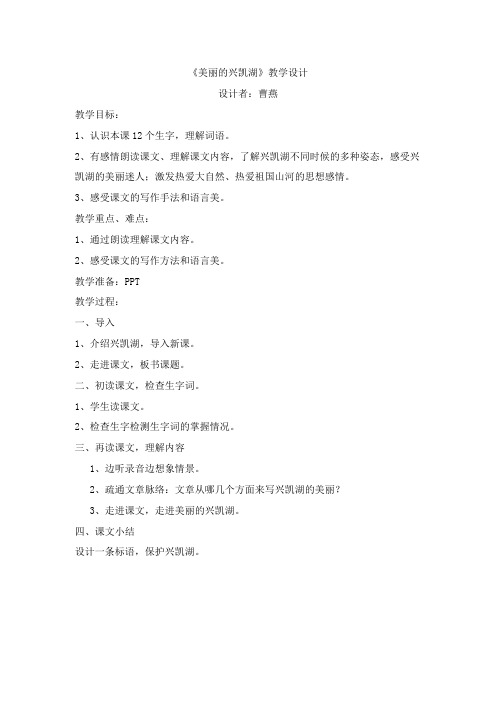 美丽的兴凯湖教案