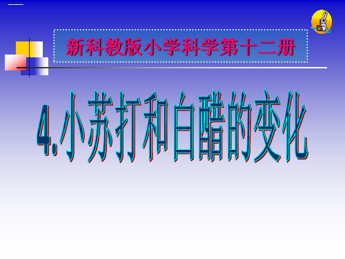 六年级下册科学课件小苏打和 白醋的变化｜教科版 (共10张PPT)