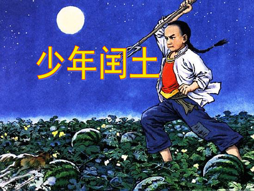 (部编教材)  少年闰土ppt1