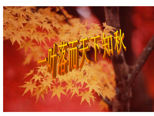 人教版七上语文第14课《秋天》(55张ppt)