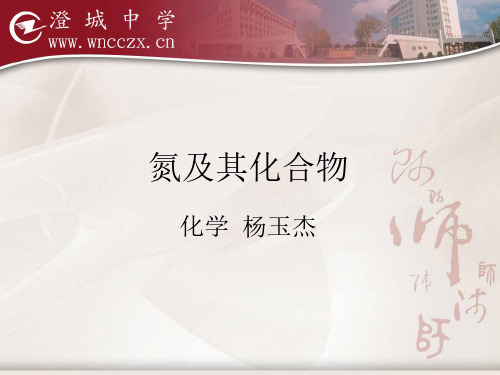 氮及其化合物