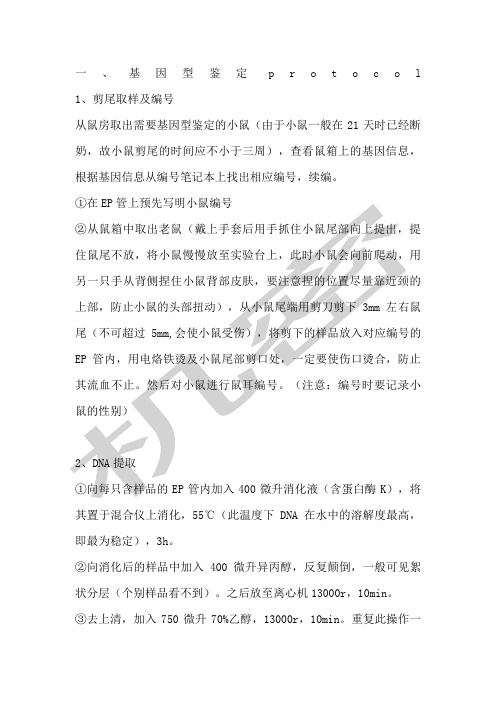 基因型鉴定protocol