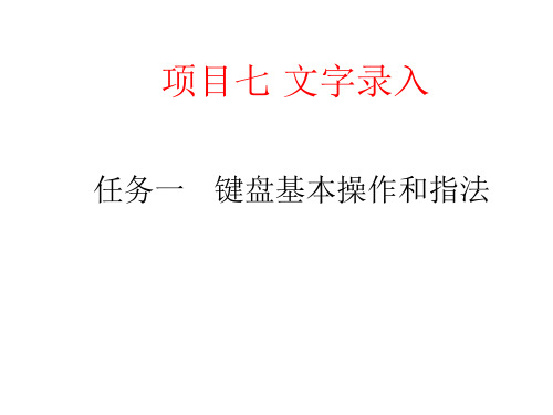 银行柜员基本技能项目七   文字录入