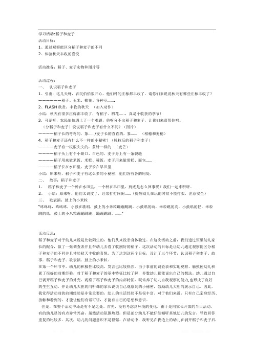 中班科学：稻子和麦子