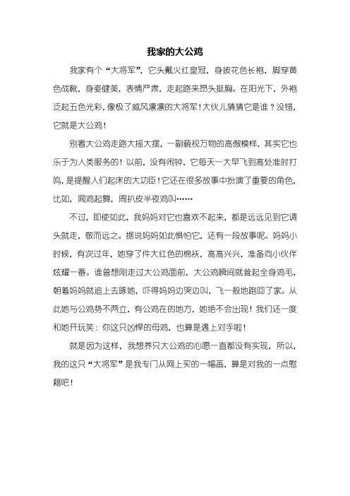 四年级作文：我家的大公鸡作文400字_1
