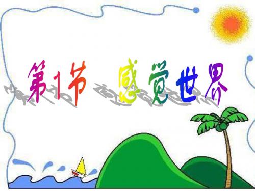 七年级下感觉世界第一课时