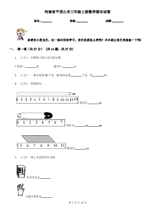 河南省平顶山市三年级上册数学期末试卷