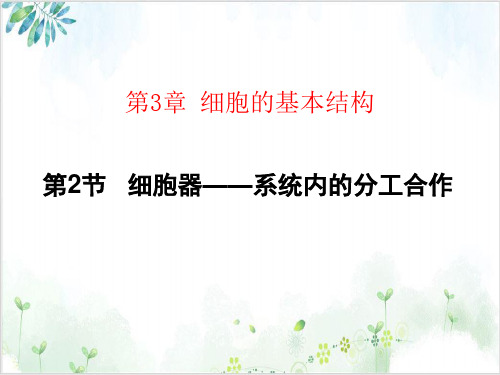 [人教版]《细胞器──系统内的分工合作》课堂课件1