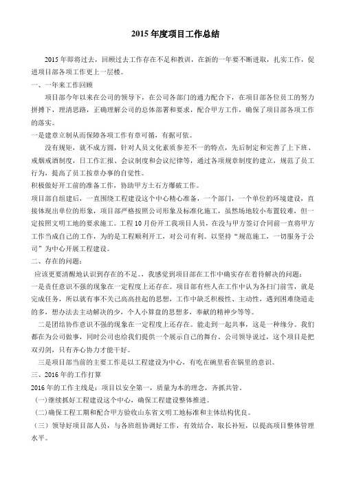 2015年度项目工作总结