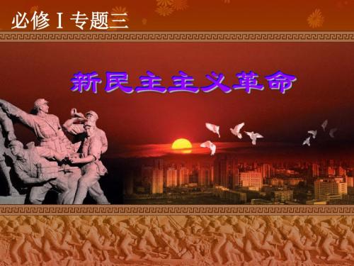 3.3新民主主义革命